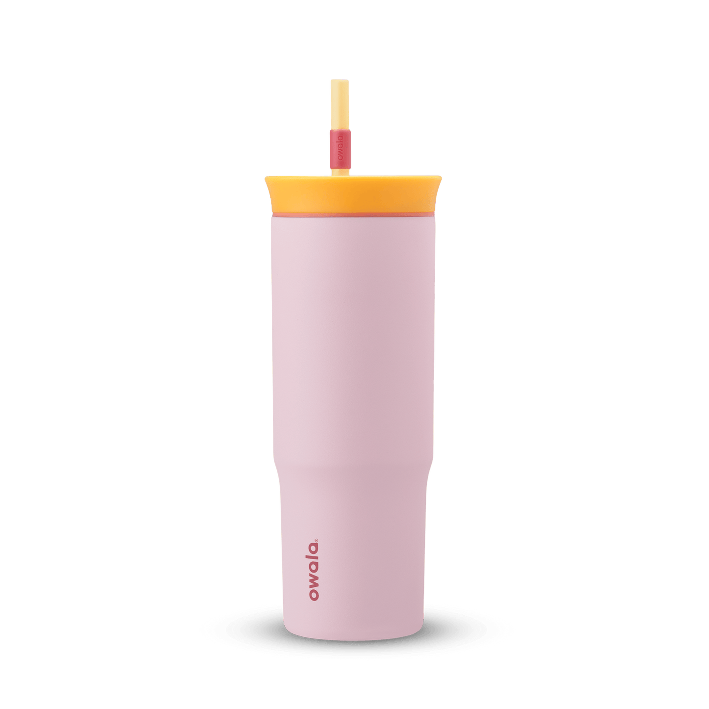 24oz Tumbler HGRV